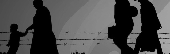 Ulusaldan Yerele: Suriyeli Sığınmacılar